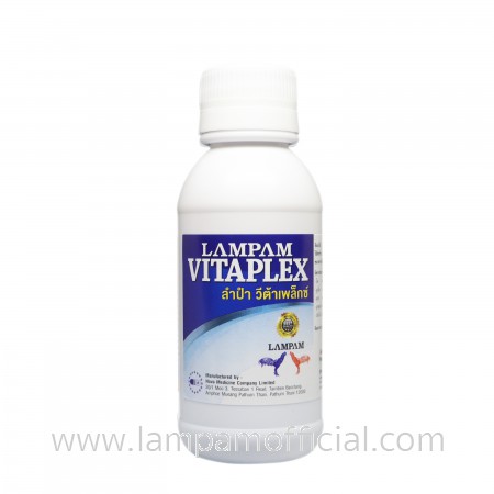 LAMPAM VITAPLEX ลำปำ วีต้าเพล็กซ์ (ชนิดน้ำ) 100 ml. 