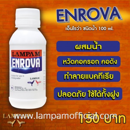 ENROVA (S) เอ็นโรว่า ชนิดน้ำ (เล็ก) 100 ml.
